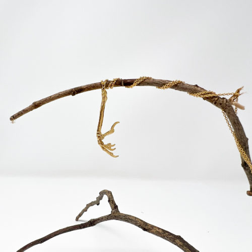 Gold Claw Necklace