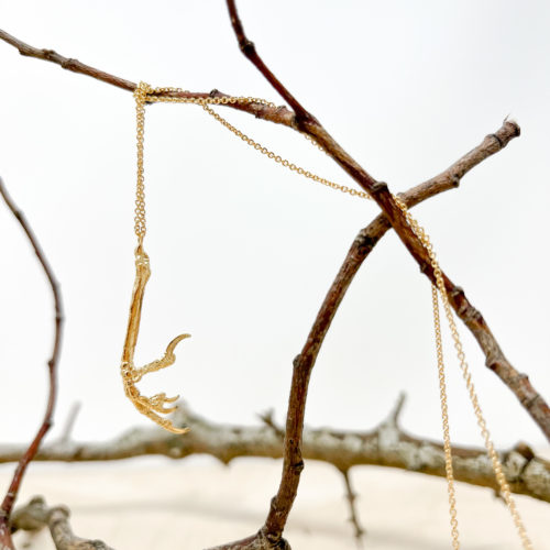 Gold Claw Necklace