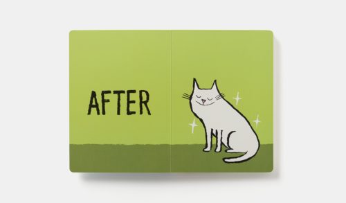 Before and After