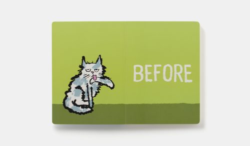Before and After