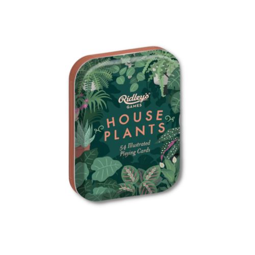 House plants