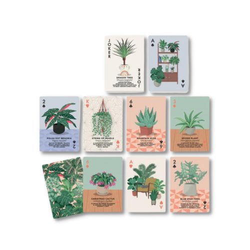 House plants