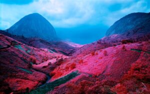 Richard Mosse, Poison Glen, 2012 © Richard Mosse 